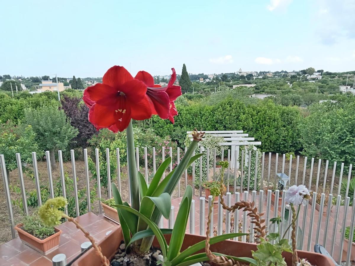 Casa Mastronardi Bed & Breakfast Castellana Grotte Exterior foto